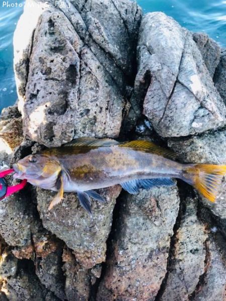 �����ʥ�