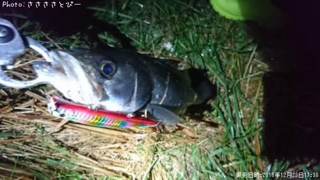 �����Х�