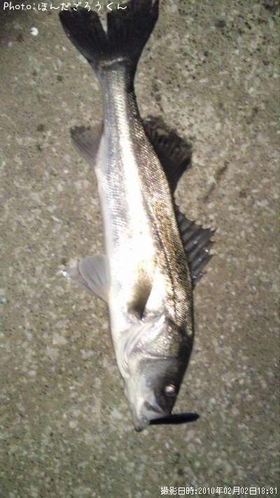 �����Х�