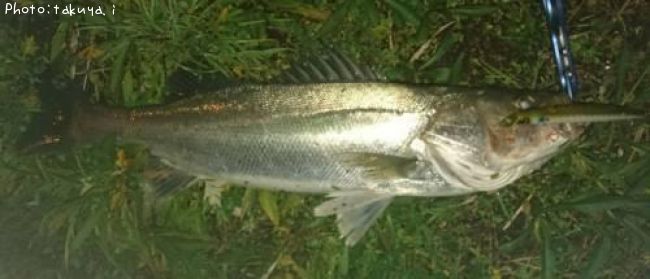 �����Х�