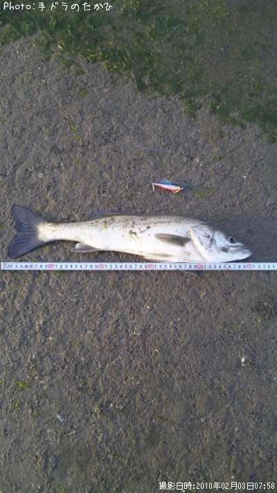 �����Х�