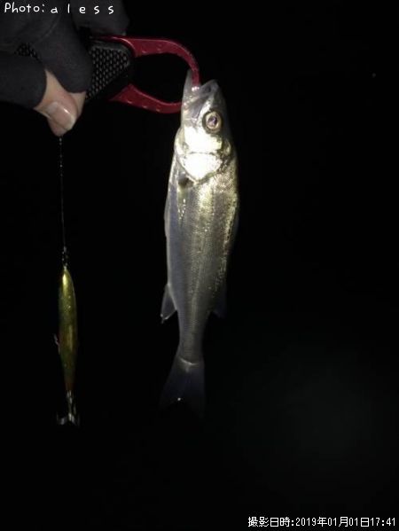 �����Х�