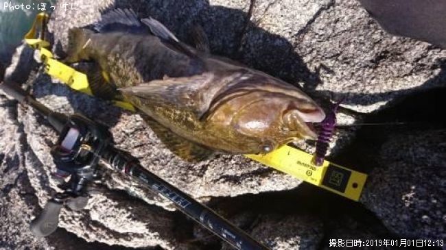 �����ʥ�