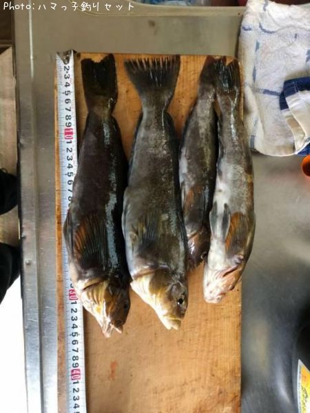 �����ʥ�