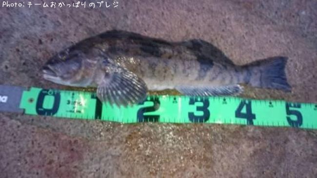 �����ʥ�