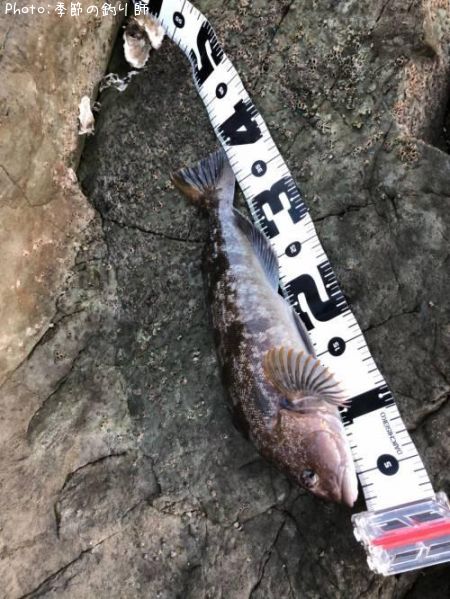 �����ʥ�