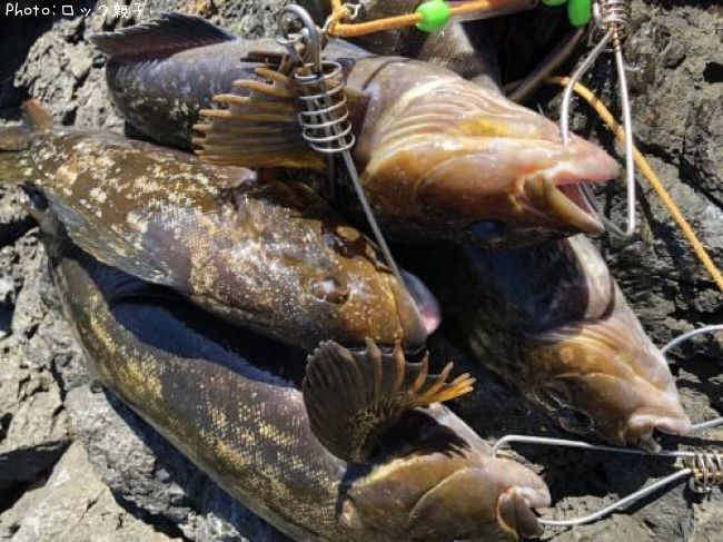 �����ʥ�