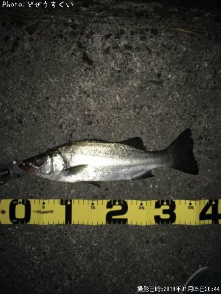 �����Х��ʥҥ饻������