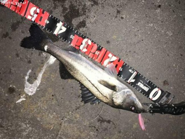 �����Х�