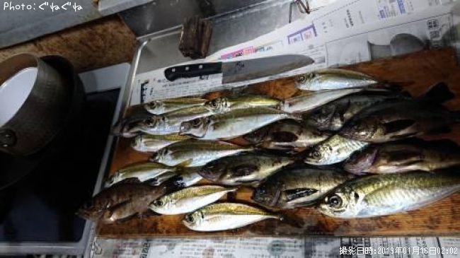 �����ȥ�Х�