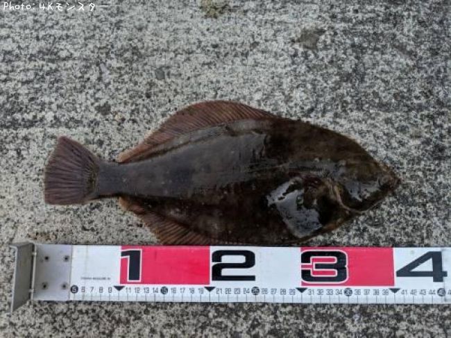 �ޥ����쥤