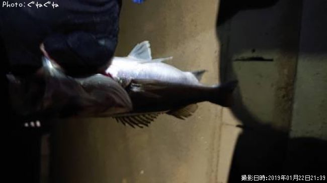 �����Х�