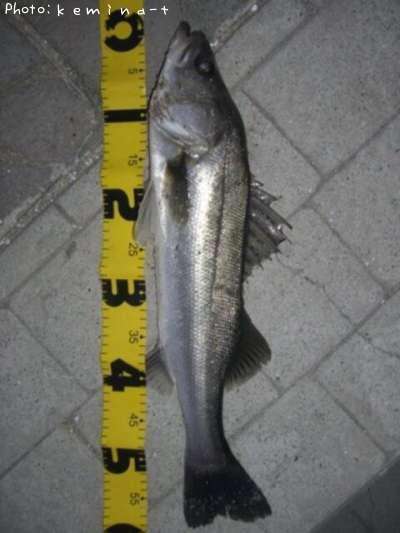 �����Х�