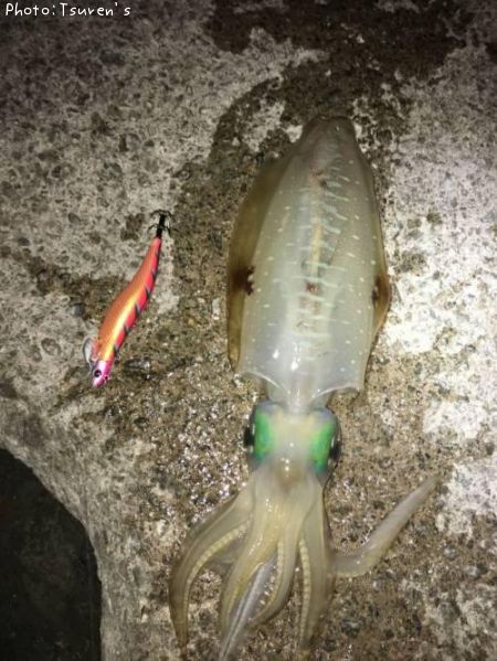 �����ꥤ��