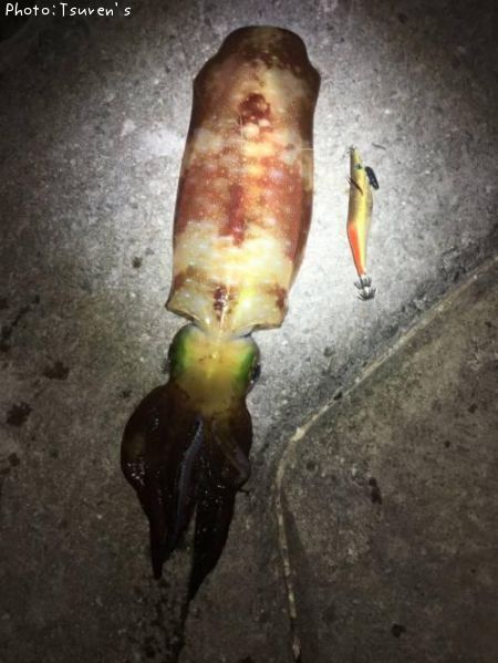 �����ꥤ��