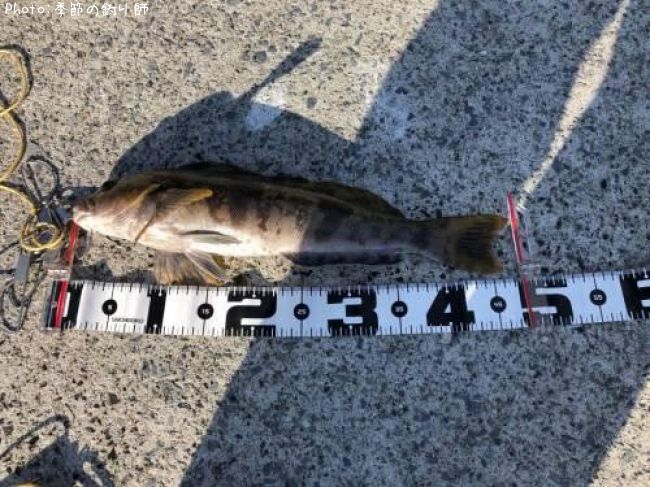 �����ʥ�