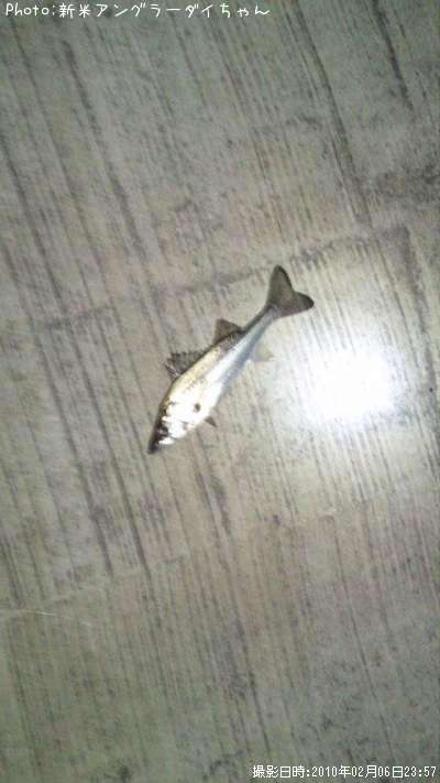 �����Х�