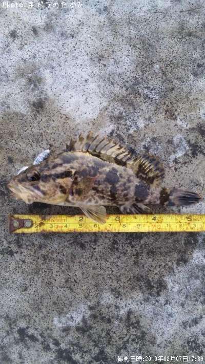 �����Υ���Х�