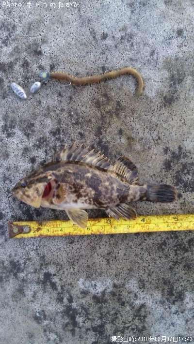 �����Υ���Х�