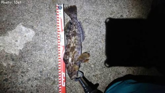 �����ʥ�