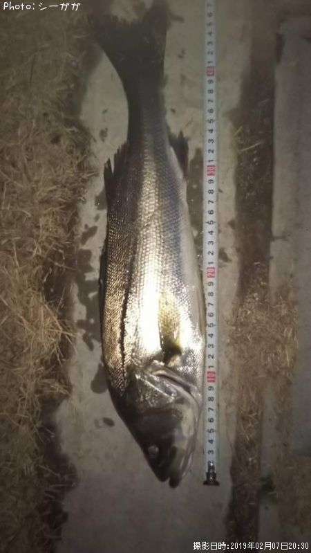 �����Х�