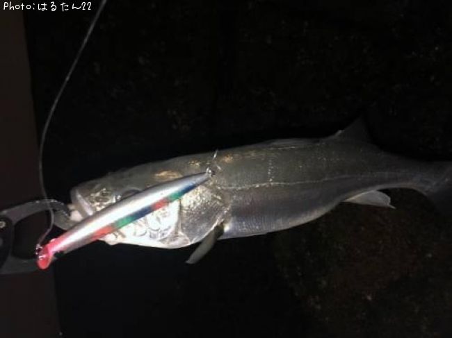 �����Х�