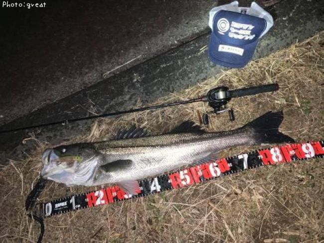 �����Х�