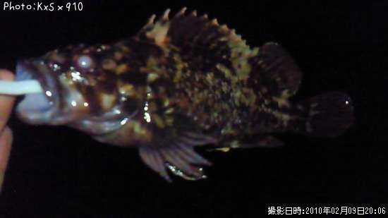 �����Υ���Х�