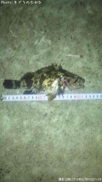 �����Υ���Х�