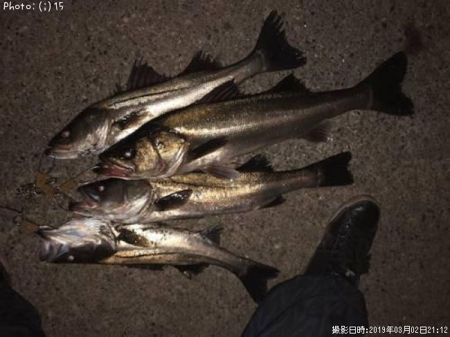 �����Х�