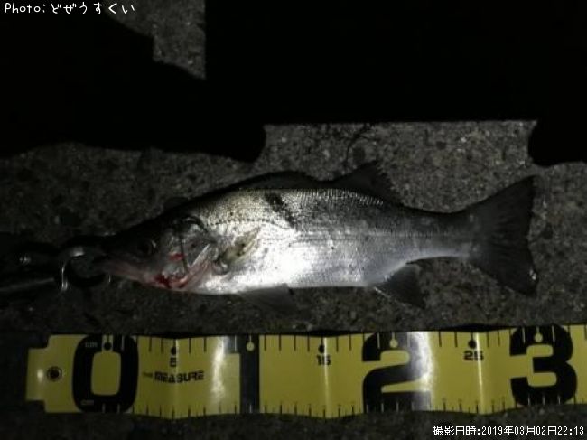 �����Х��ʥҥ饻������