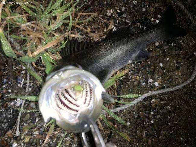 �����Х�