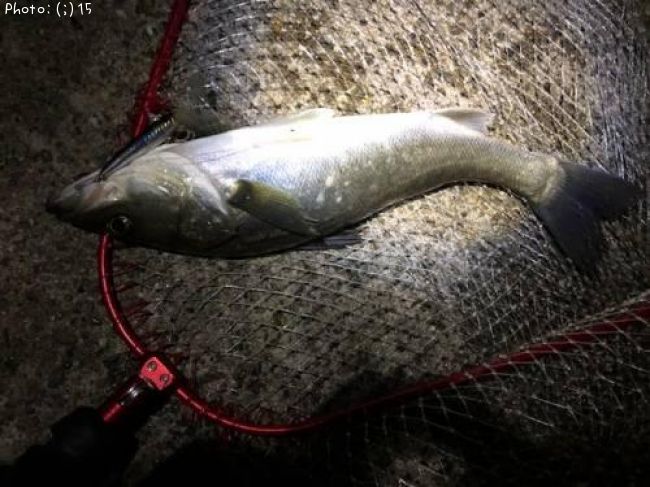 �����Х�