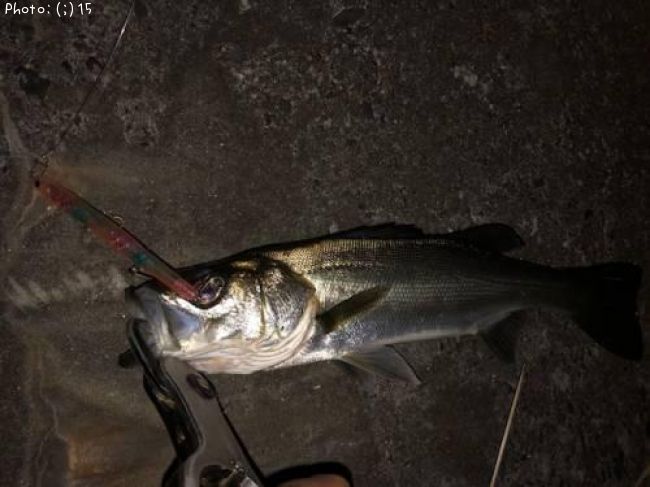 �����Х�