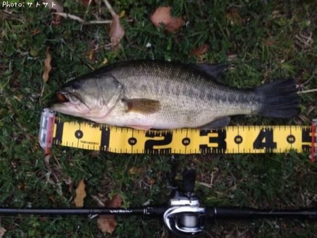 �֥�å��Х�