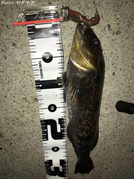 �����ʥ�