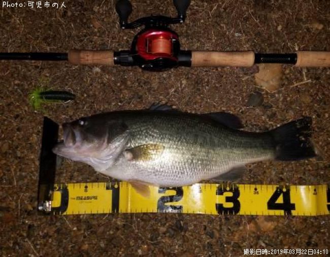 �֥�å��Х�