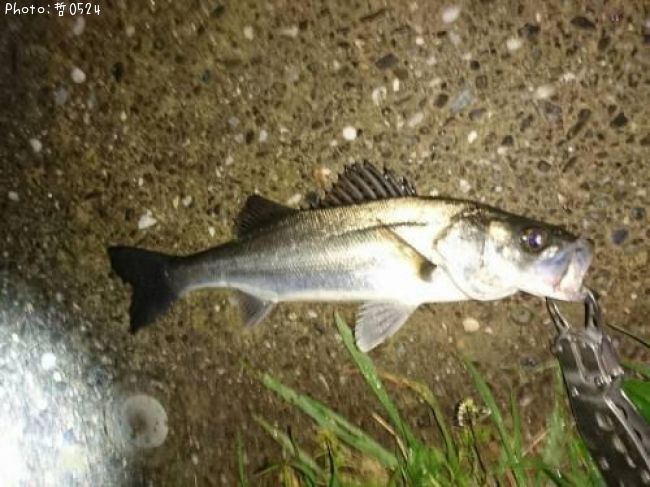 �����Х�