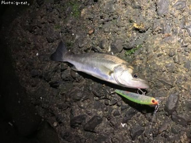 �����Х�