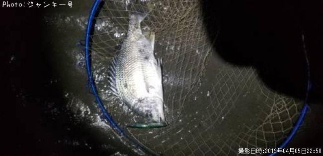 �������������ӥ�