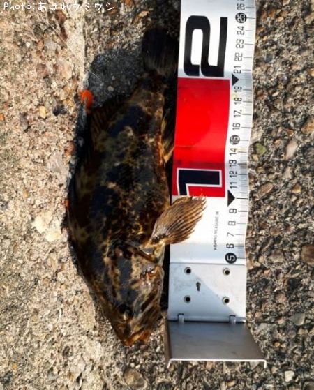 �����Υ���Х�