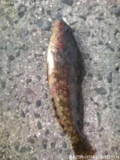 �����ʥ�