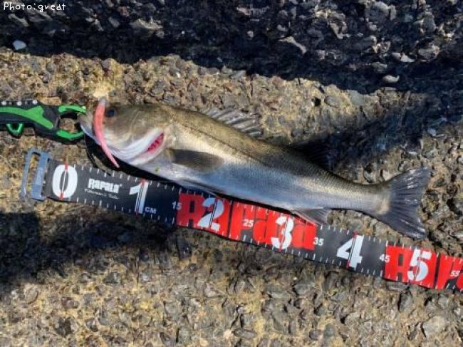 �����Х�