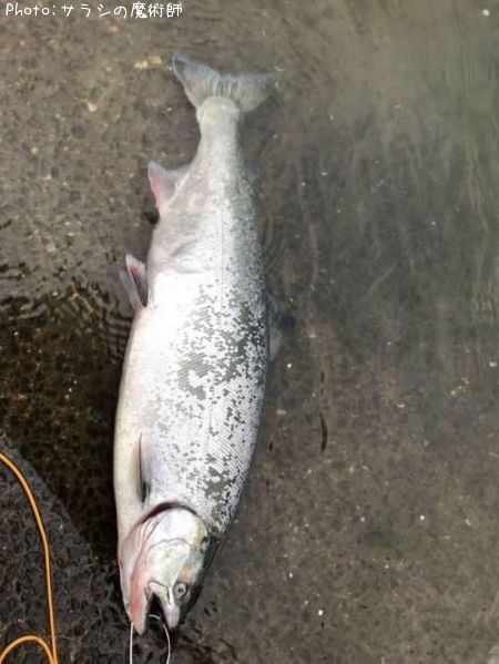 ������ޥ�