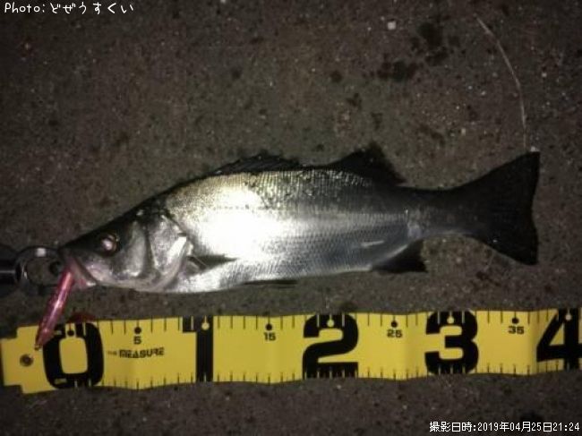 �����Х��ʥҥ饻������