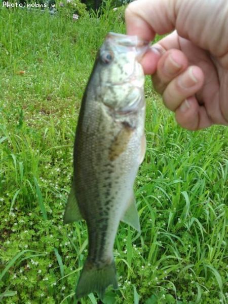 �֥�å��Х�