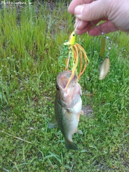 �֥�å��Х�