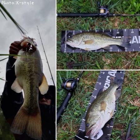 �֥�å��Х�