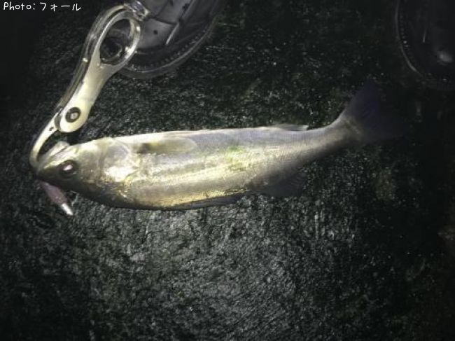 �����Х�