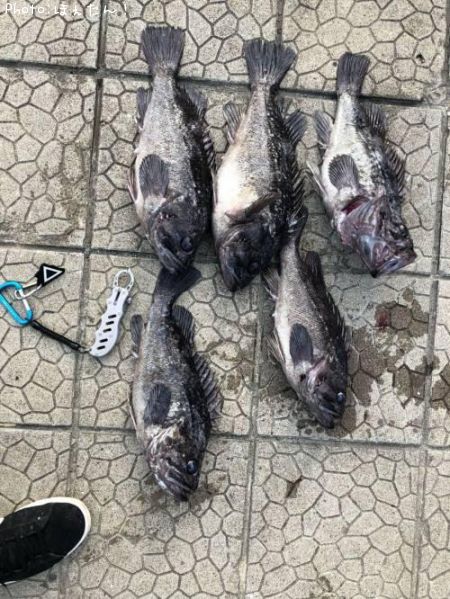 ��������̡�